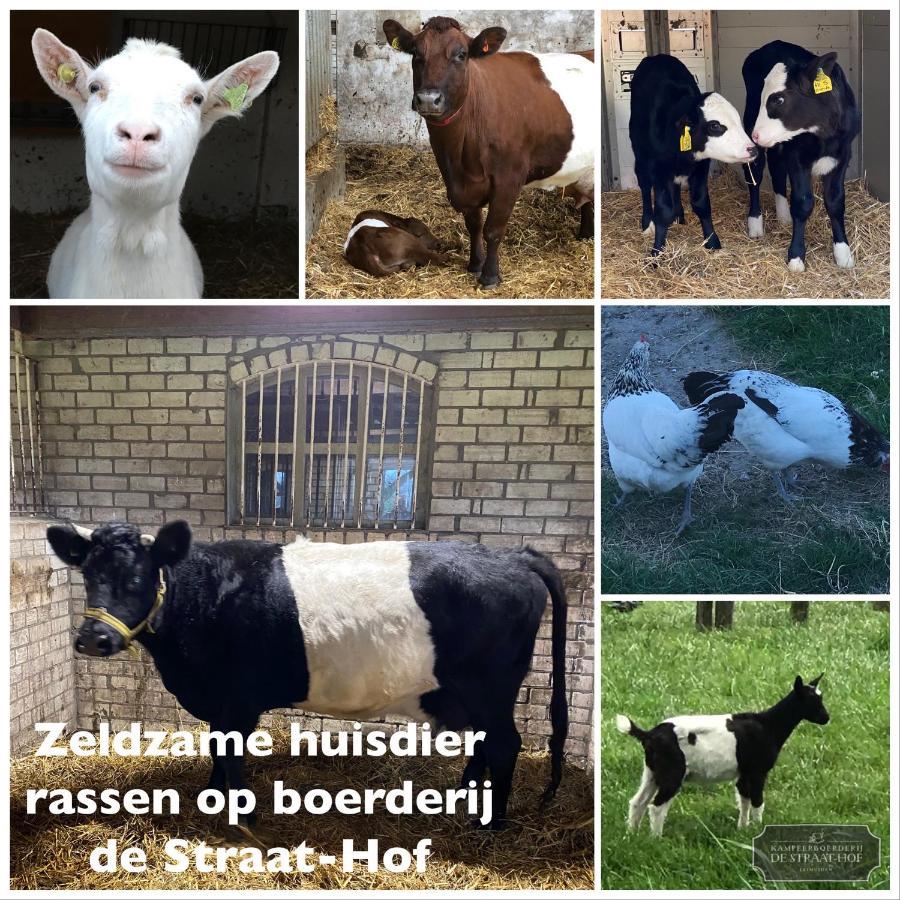Herberg Boerderij De Straat-Hof Bed and Breakfast Leimuiden Exterior foto